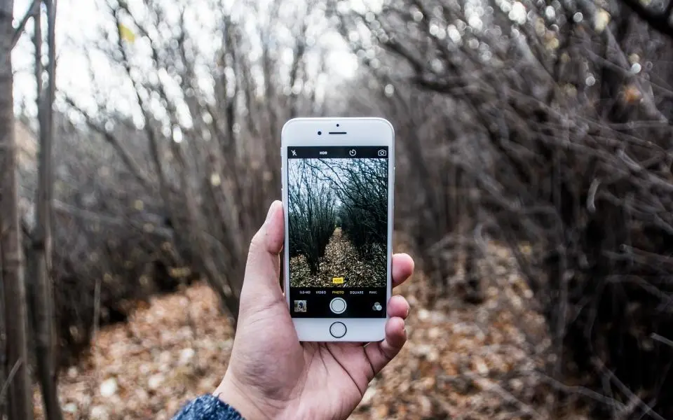 Creating social content