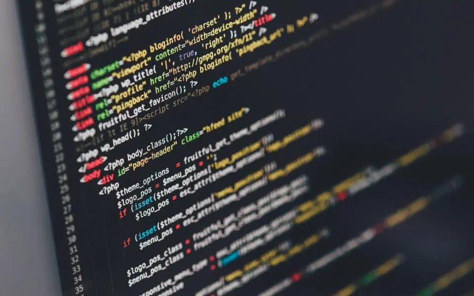 Developer writing code