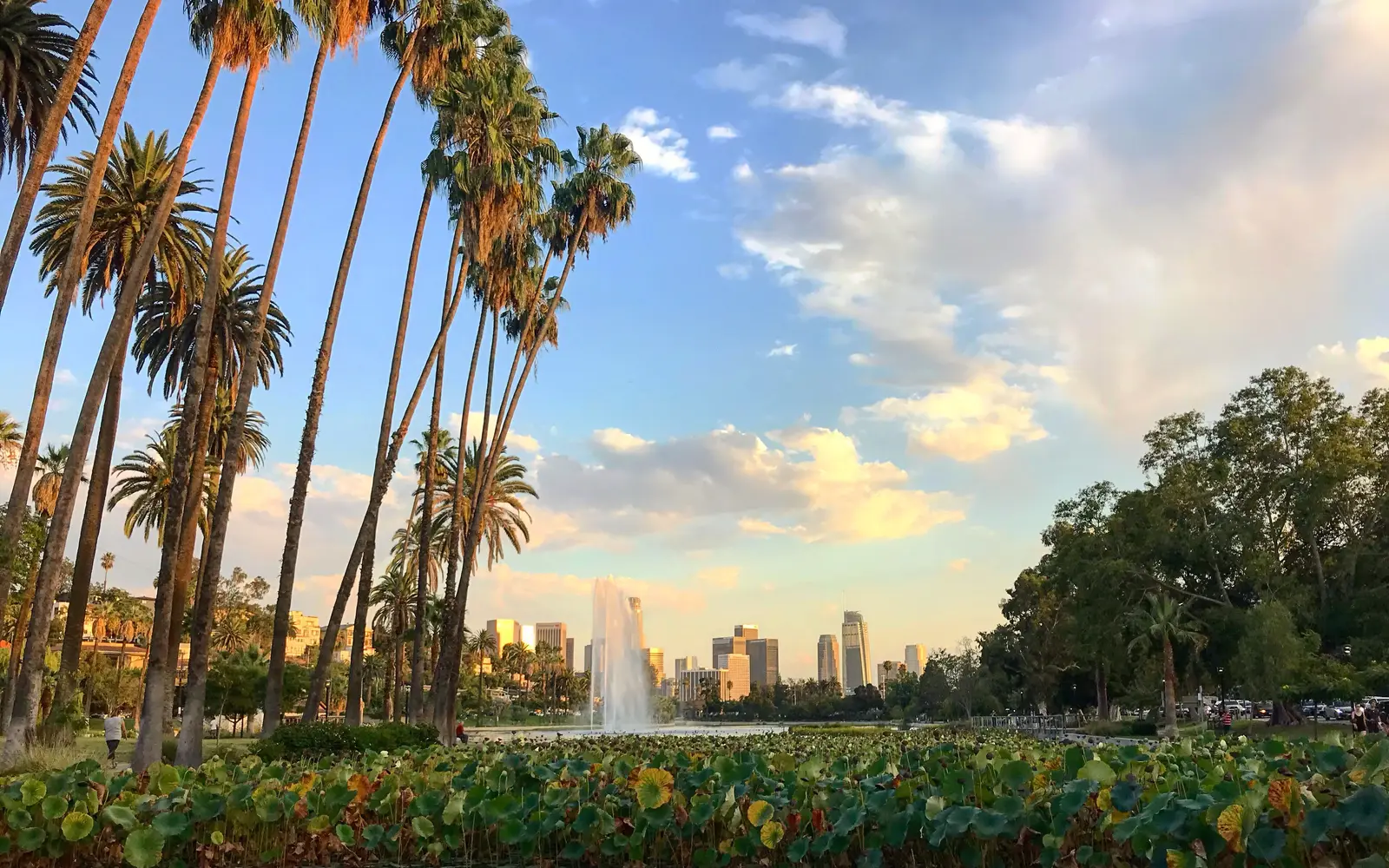 Los Angeles skyline with palm trees